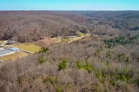 0 Highway 100 Linden TN 37096