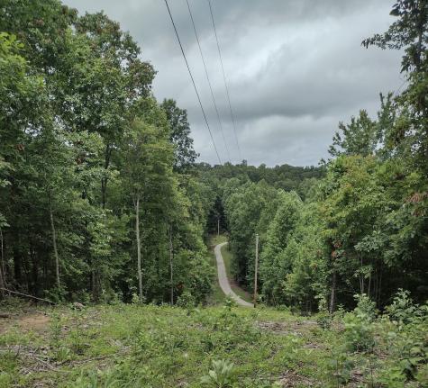 1232 Main Street Tracy City TN 37387