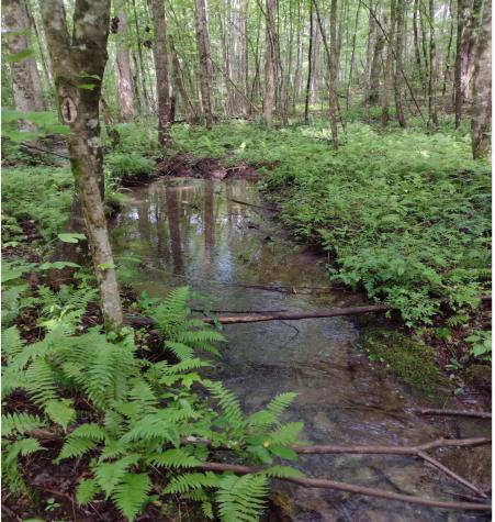 1232 Main Street Tracy City TN 37387