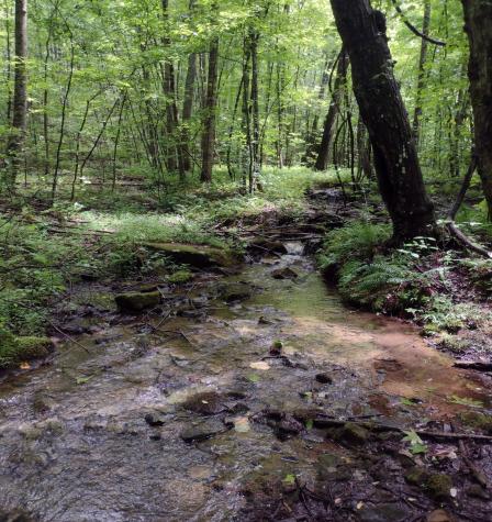 1232 Main Street Tracy City TN 37387