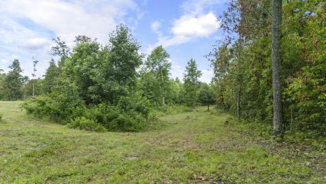 1232 Main Street Tracy City TN 37387