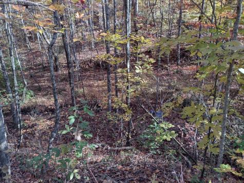 1232 Main Street Tracy City TN 37387