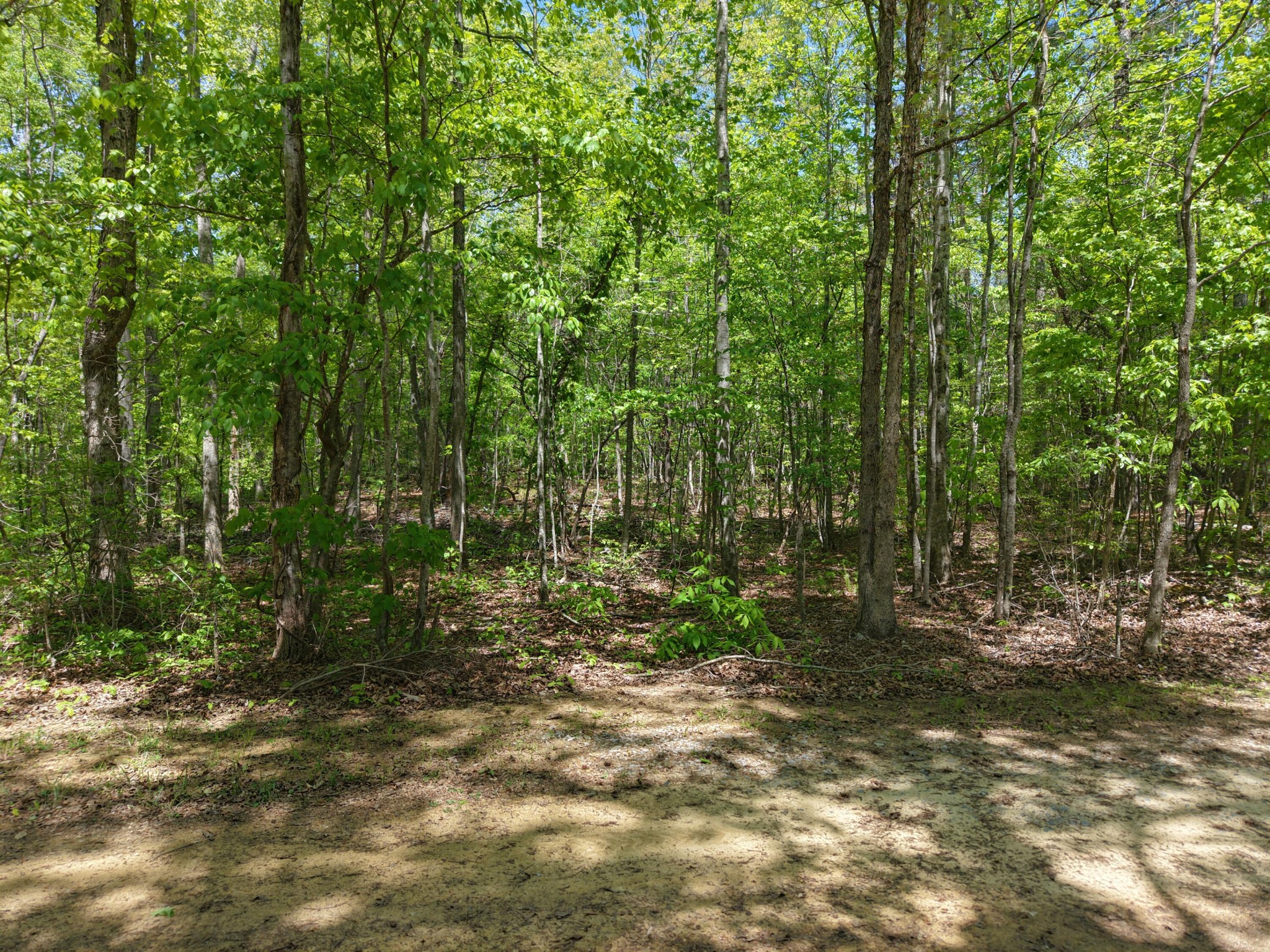 0 Jim Black Drive Old Fort TN 37362