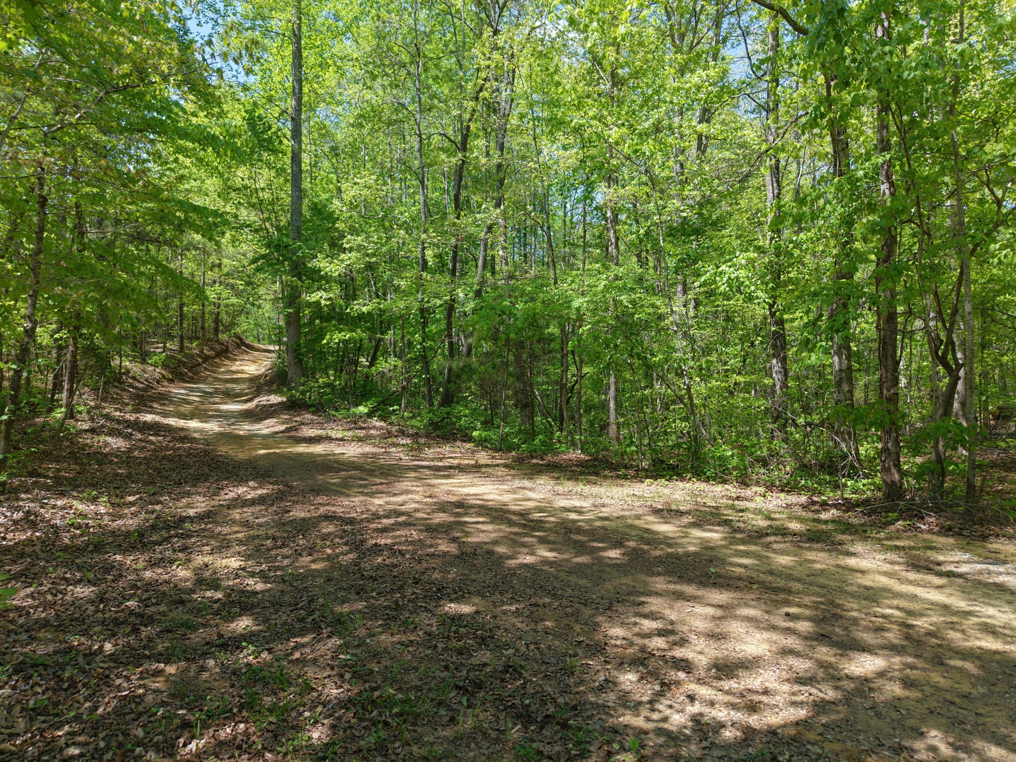 0 Jim Black Drive Old Fort TN 37362