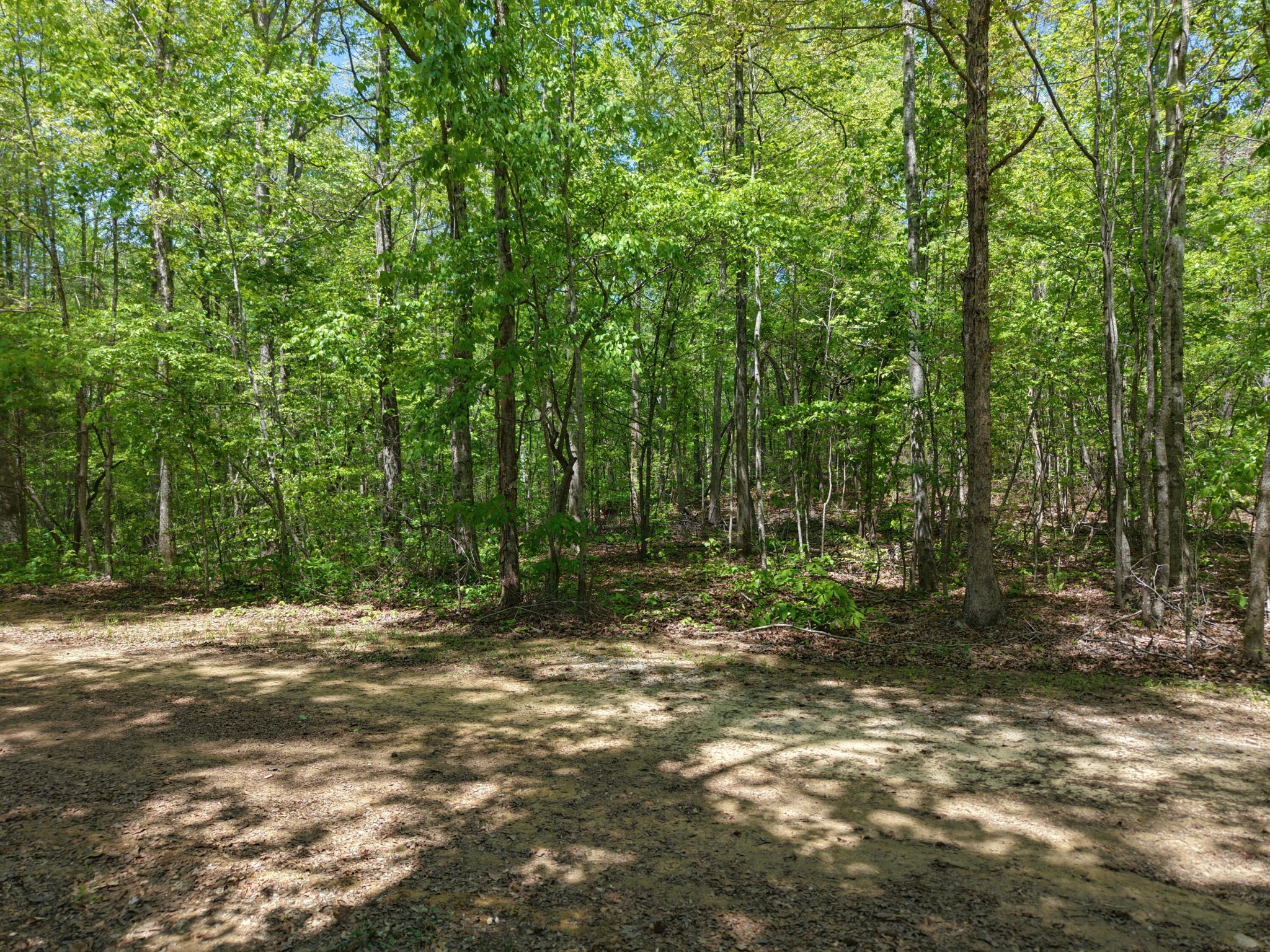 0 Jim Black Drive Old Fort TN 37362