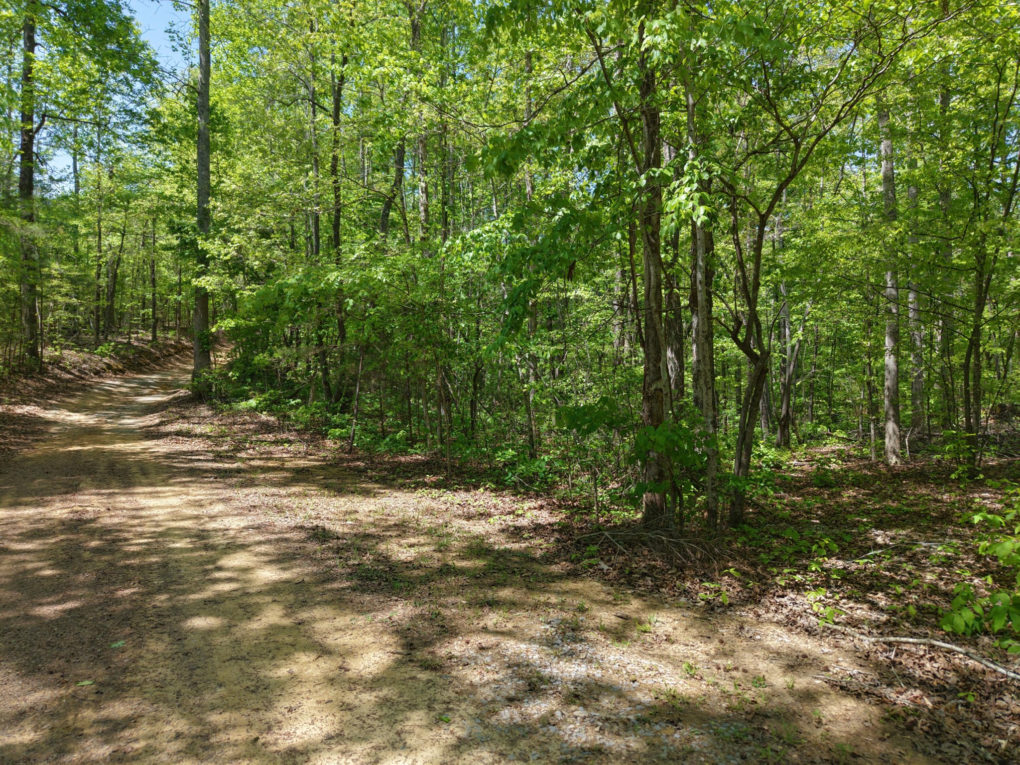 0 Jim Black Drive Old Fort TN 37362