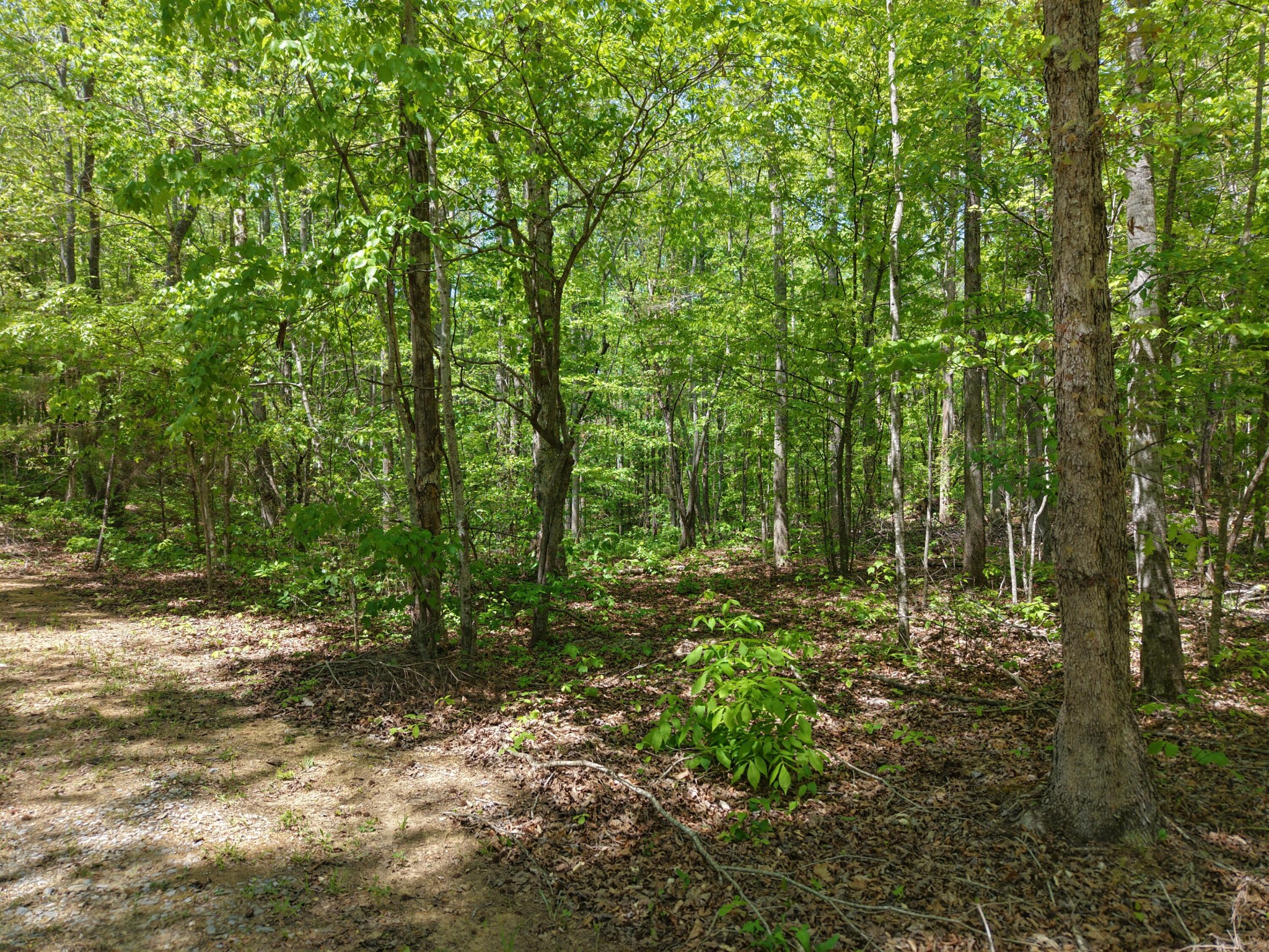 0 Jim Black Drive Old Fort TN 37362