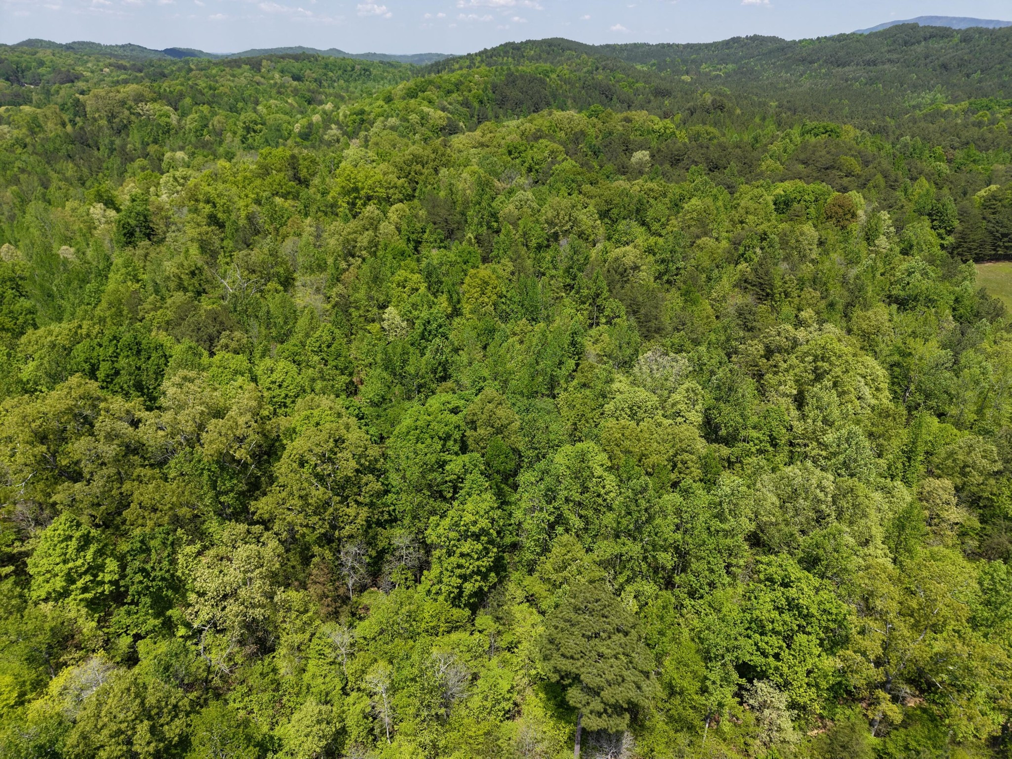 0 Jim Black Drive Old Fort TN 37362