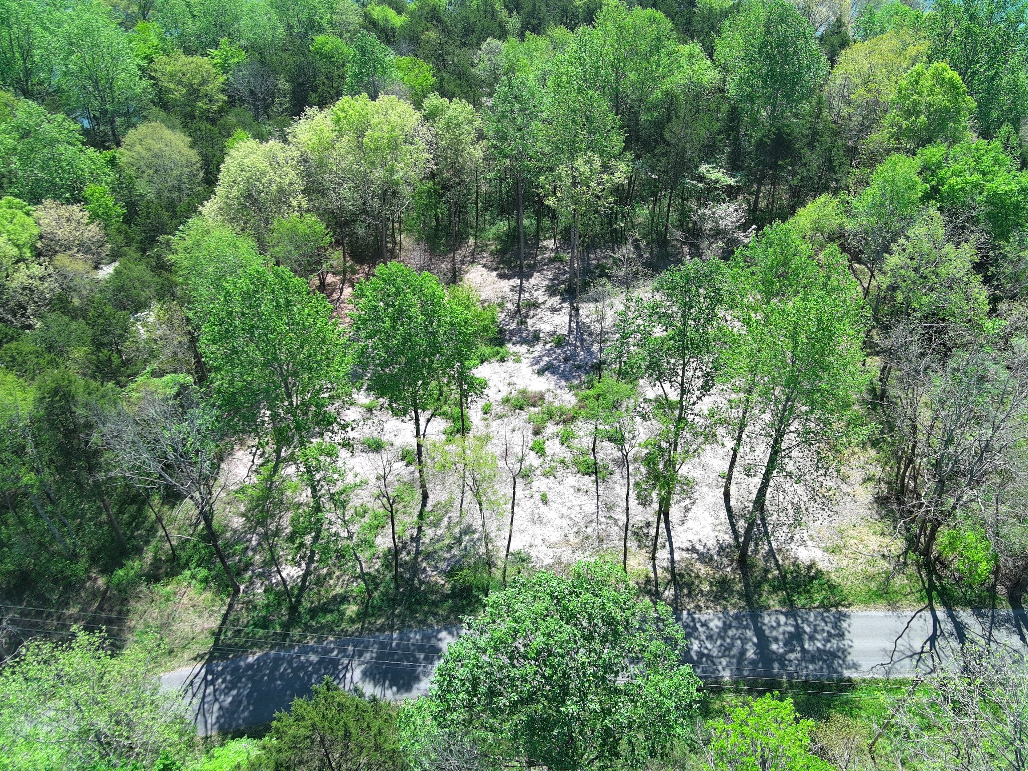 0 Bedford Lake Road Shelbyville TN 37160