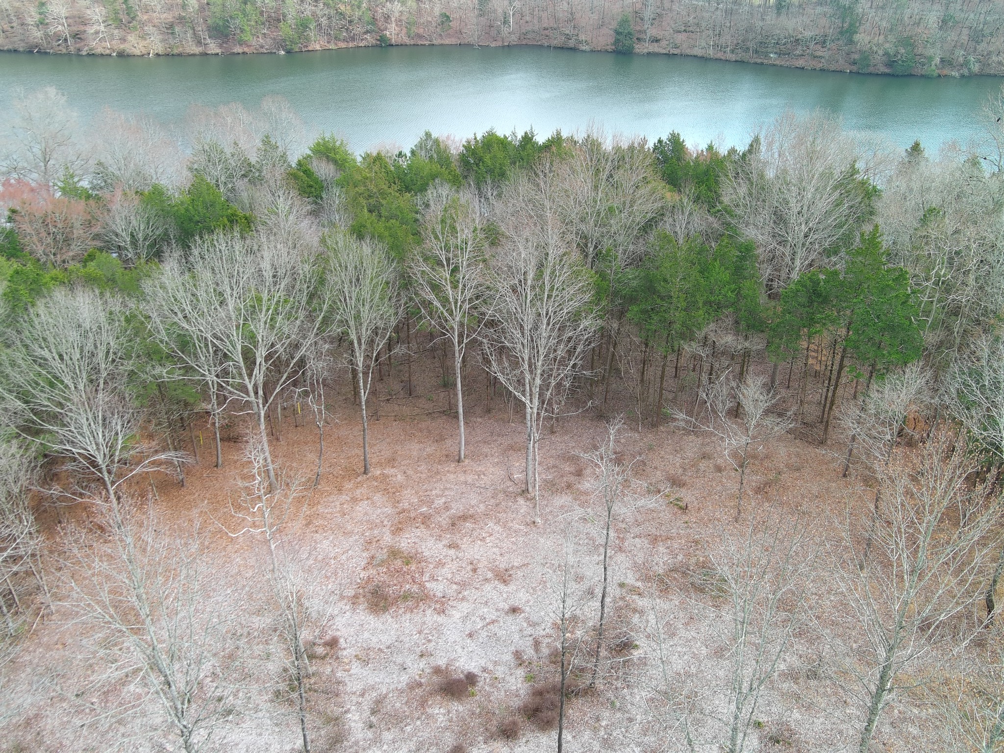 0 Bedford Lake Road Shelbyville TN 37160