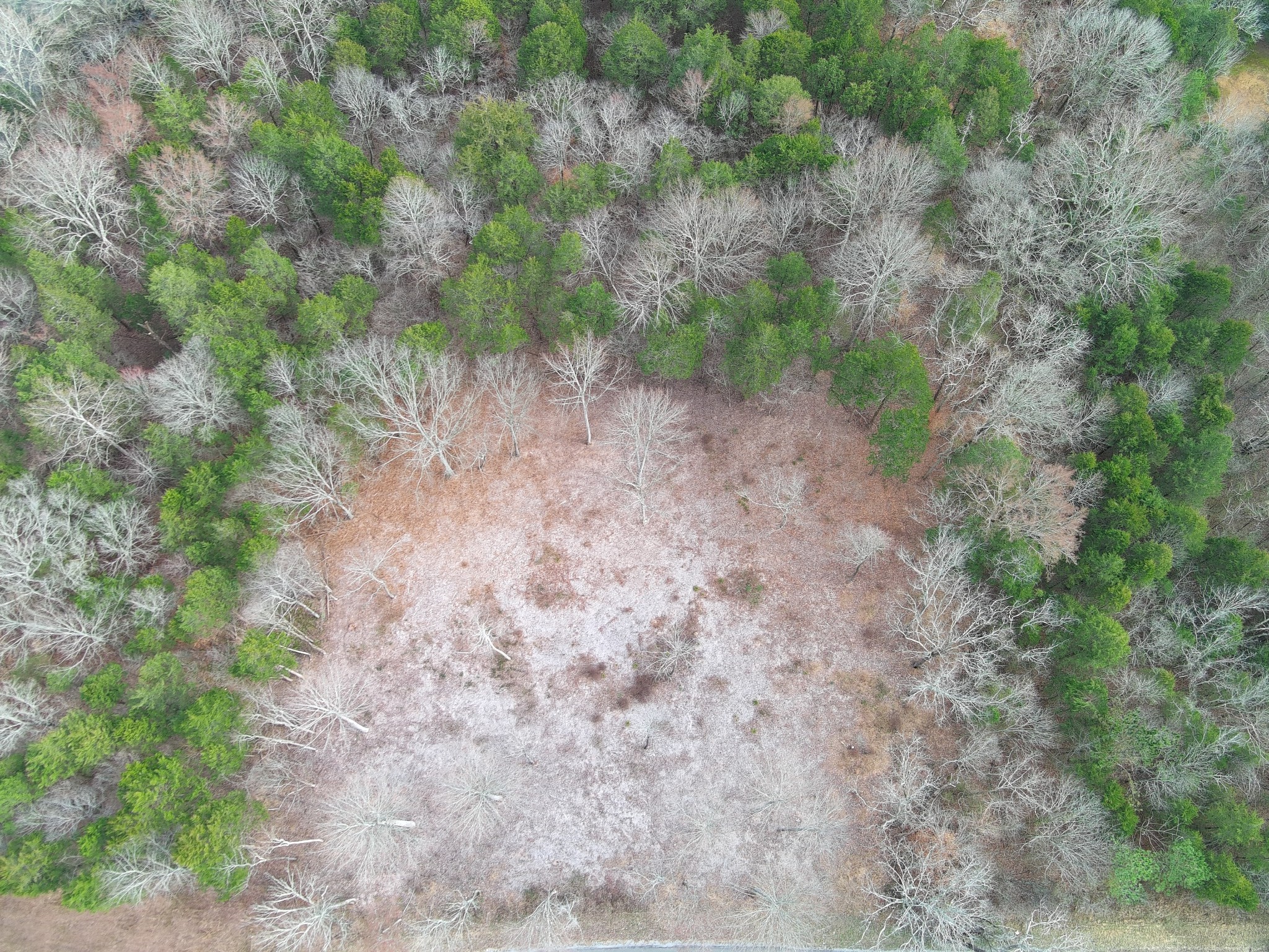 0 Bedford Lake Road Shelbyville TN 37160