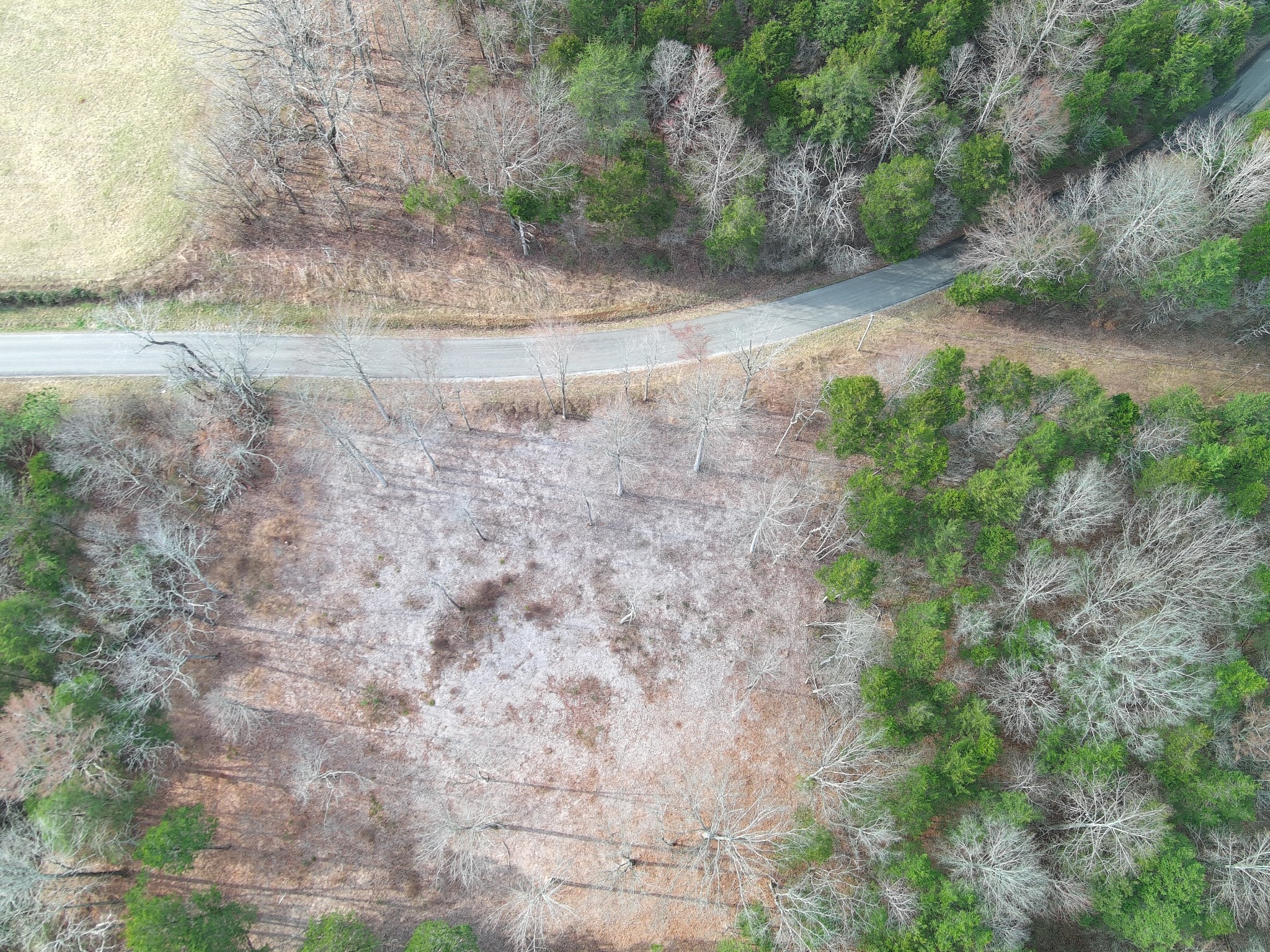 0 Bedford Lake Road Shelbyville TN 37160