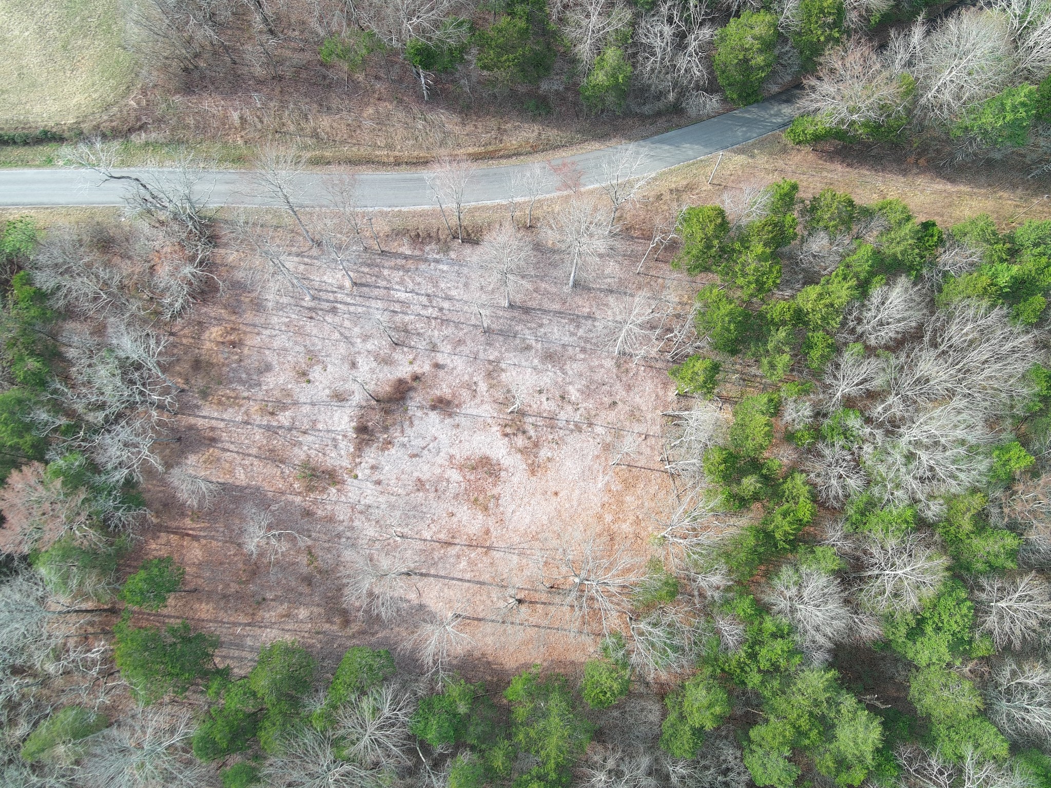 0 Bedford Lake Road Shelbyville TN 37160