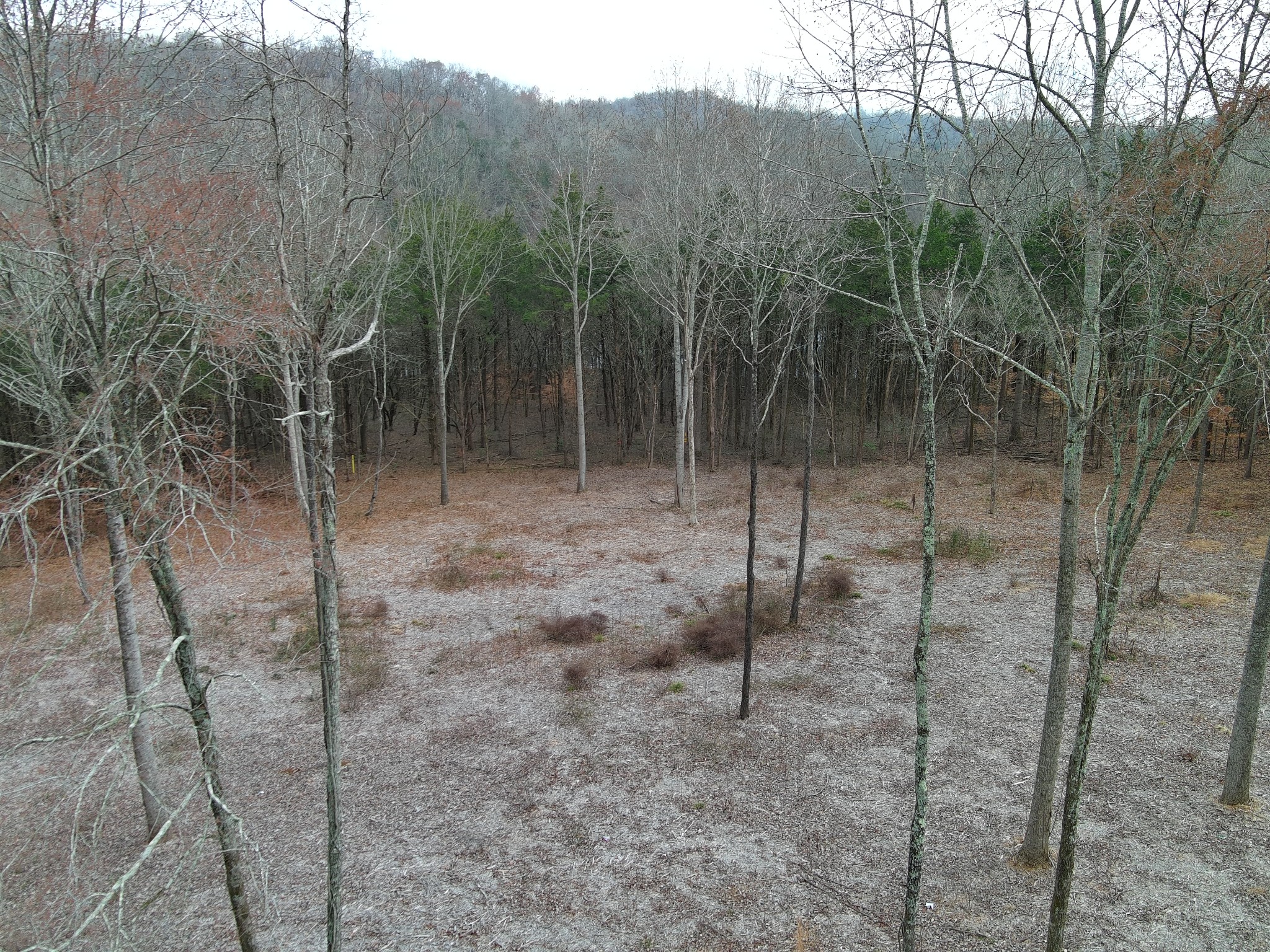 0 Bedford Lake Road Shelbyville TN 37160