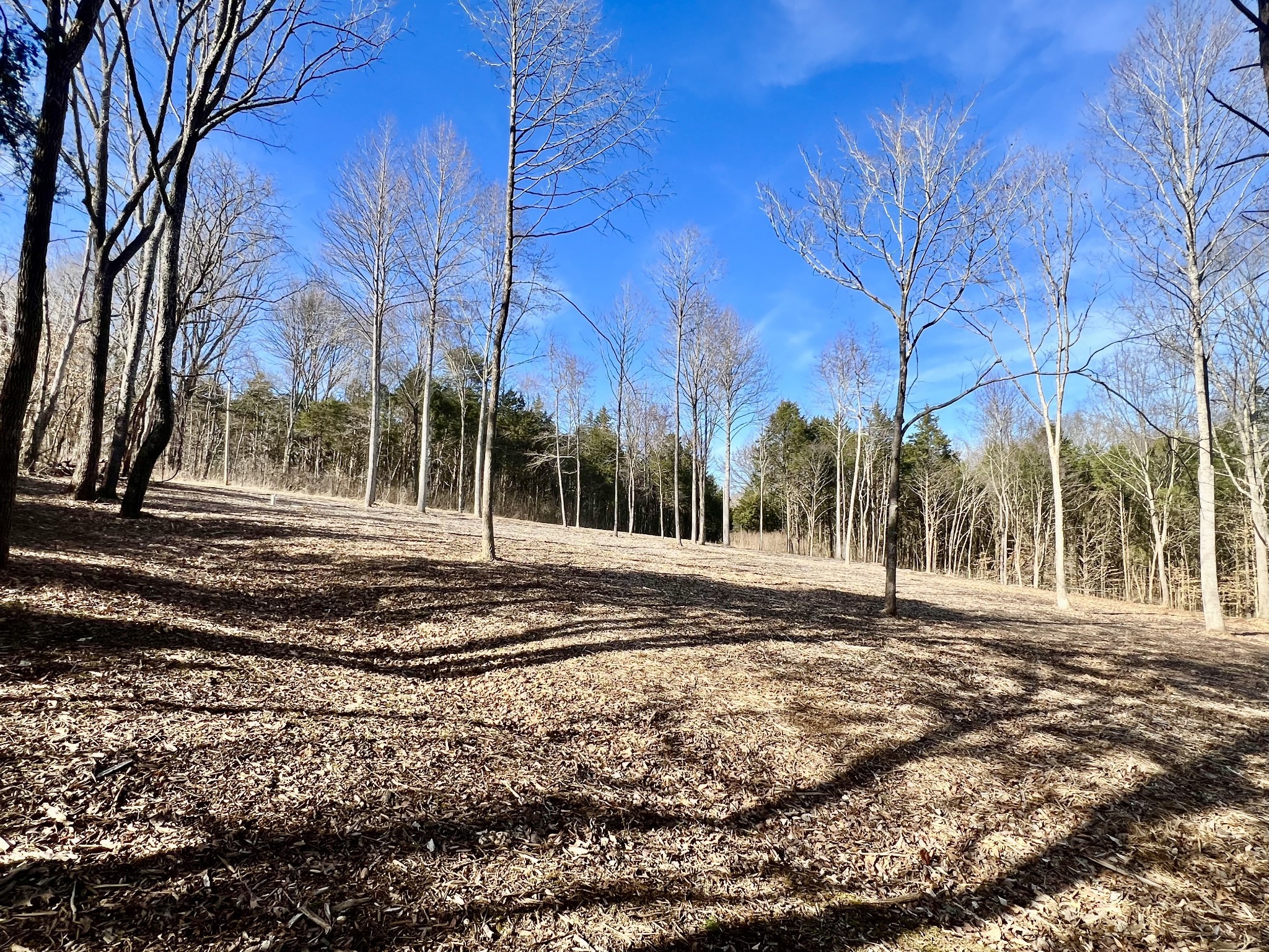 0 Bedford Lake Road Shelbyville TN 37160