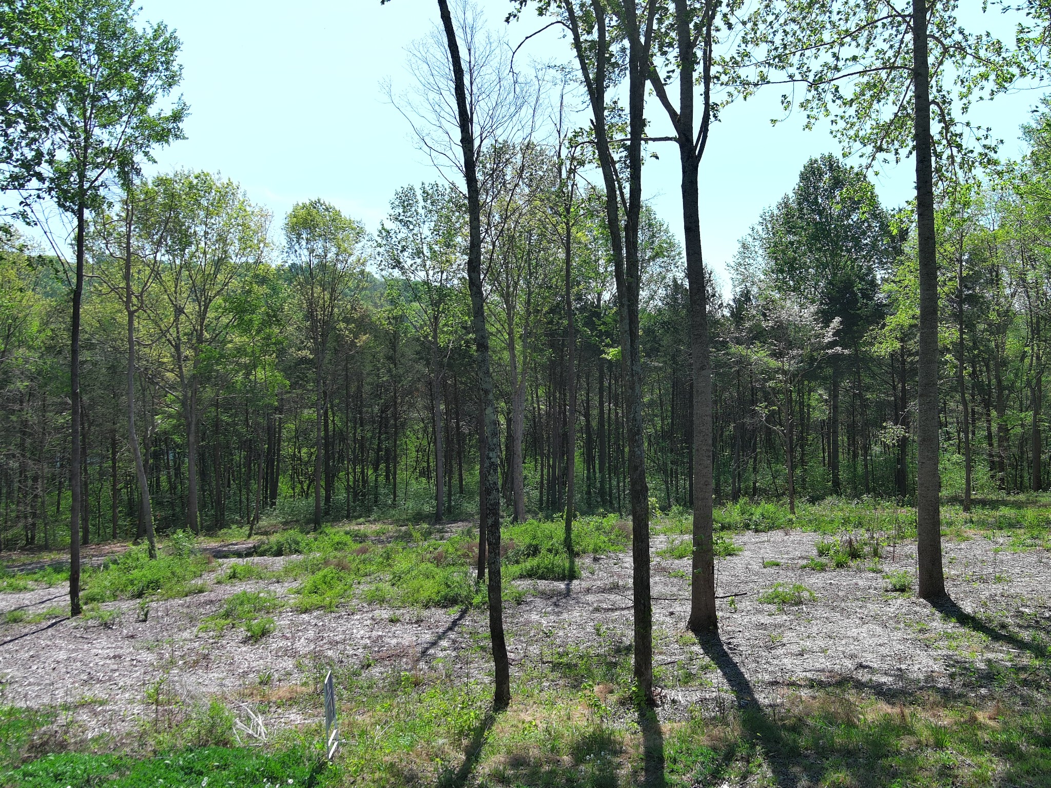 0 Bedford Lake Road Shelbyville TN 37160