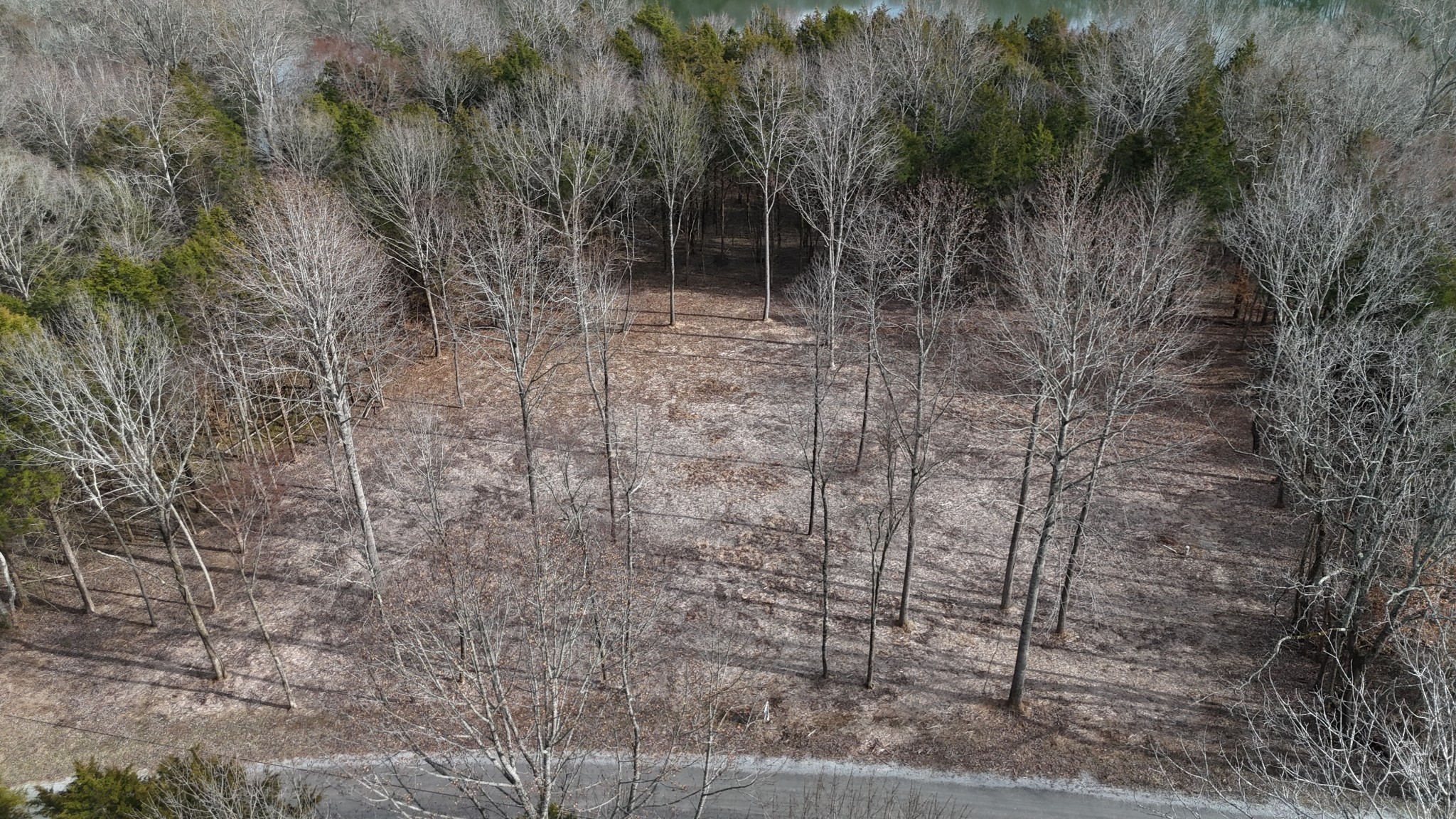 0 Bedford Lake Road Shelbyville TN 37160