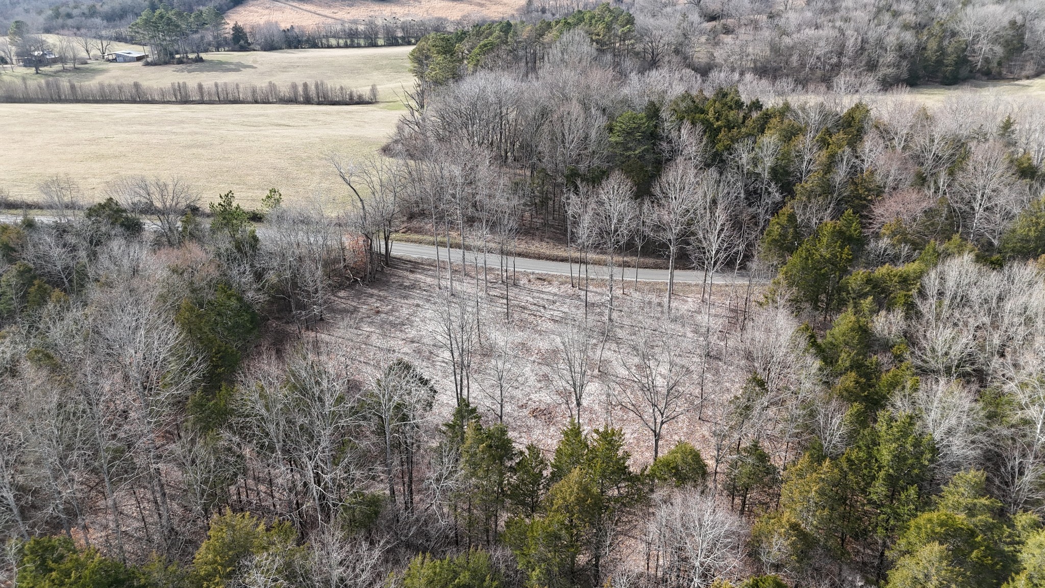 0 Bedford Lake Road Shelbyville TN 37160