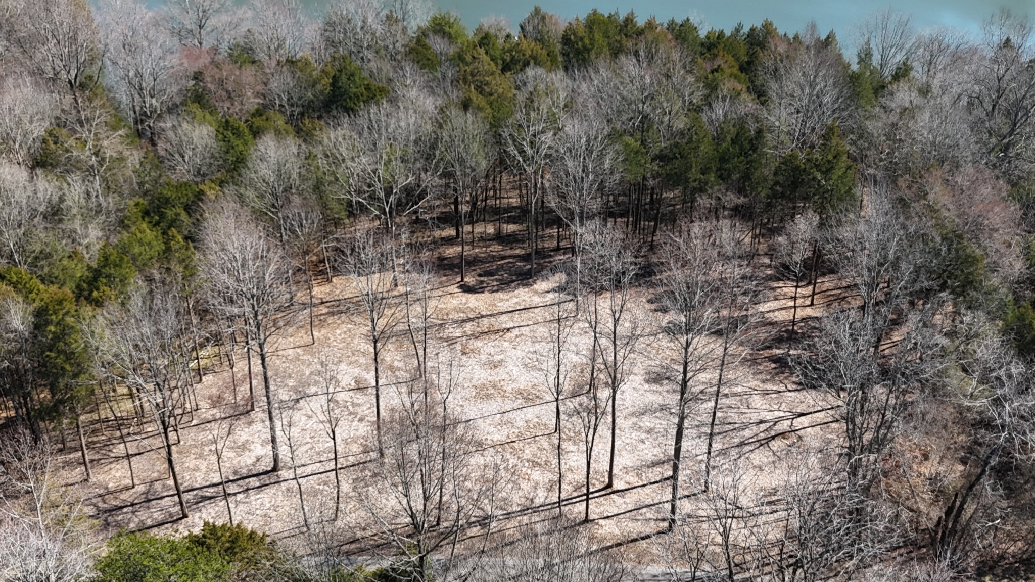 0 Bedford Lake Road Shelbyville TN 37160