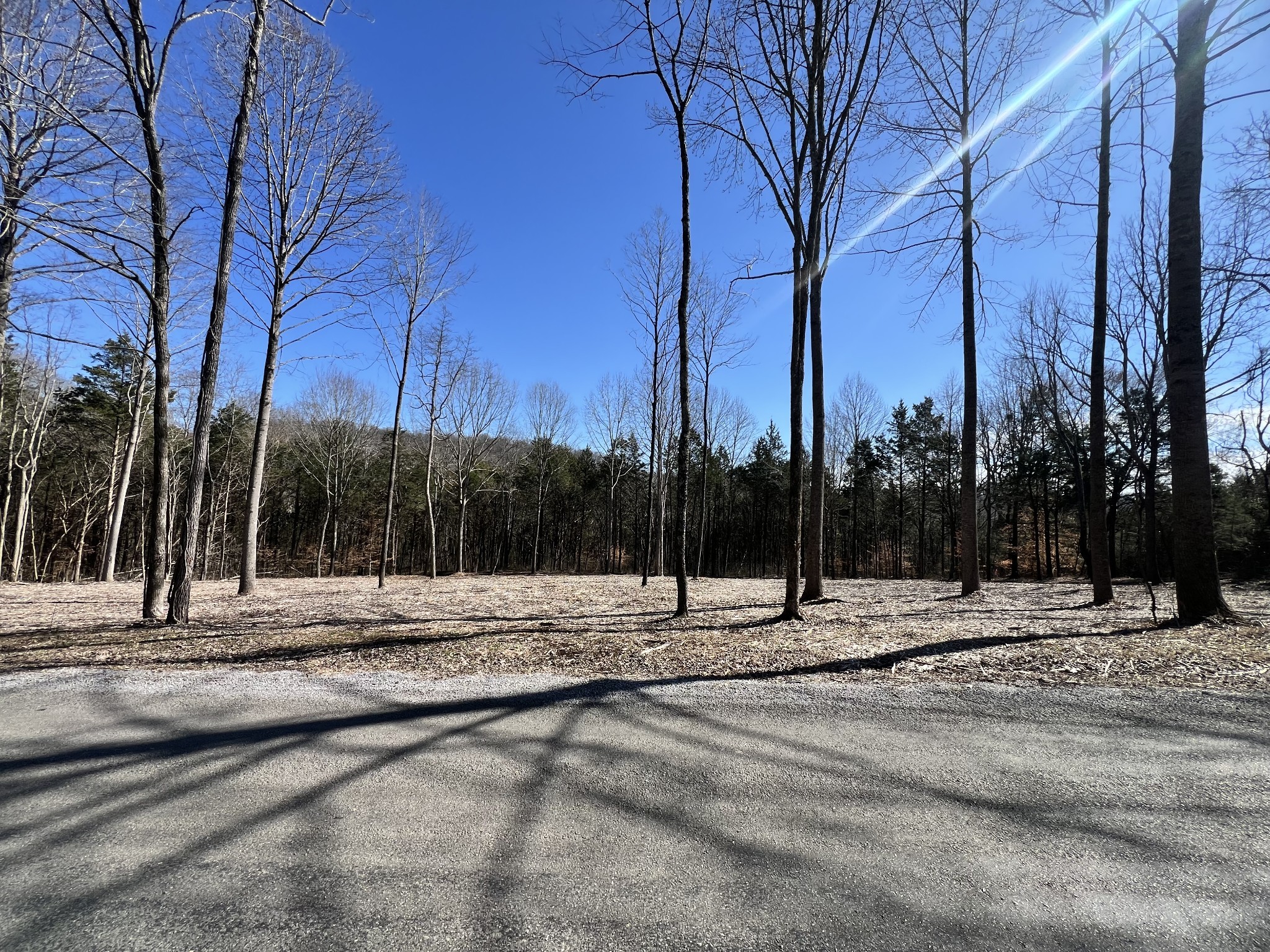 0 Bedford Lake Road Shelbyville TN 37160