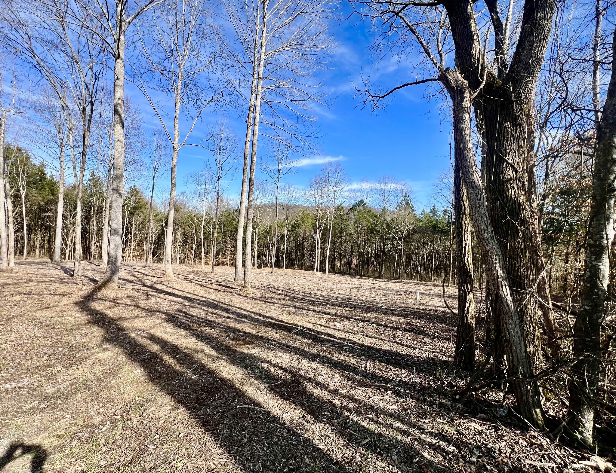 0 Bedford Lake Road Shelbyville TN 37160