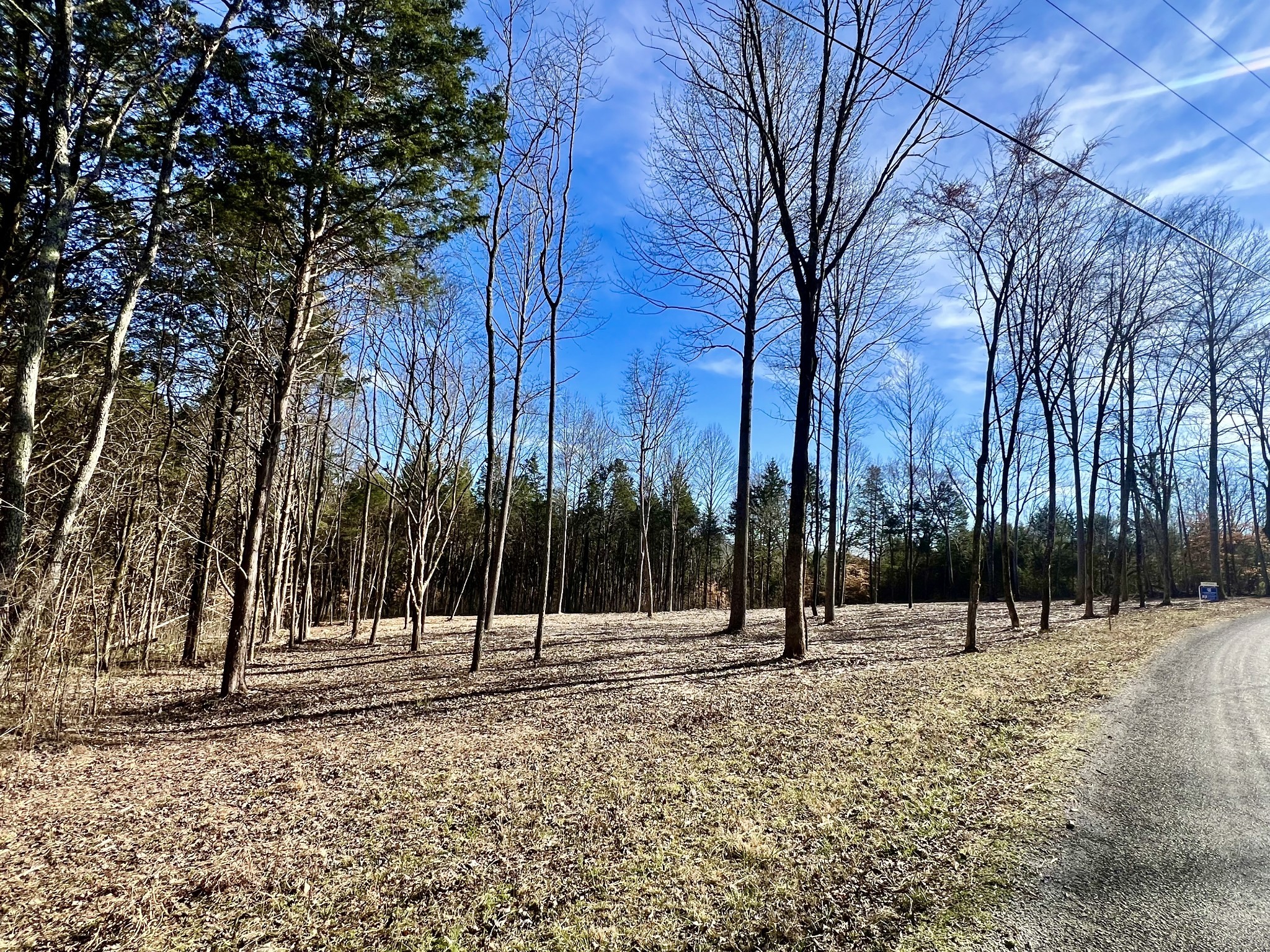 0 Bedford Lake Road Shelbyville TN 37160