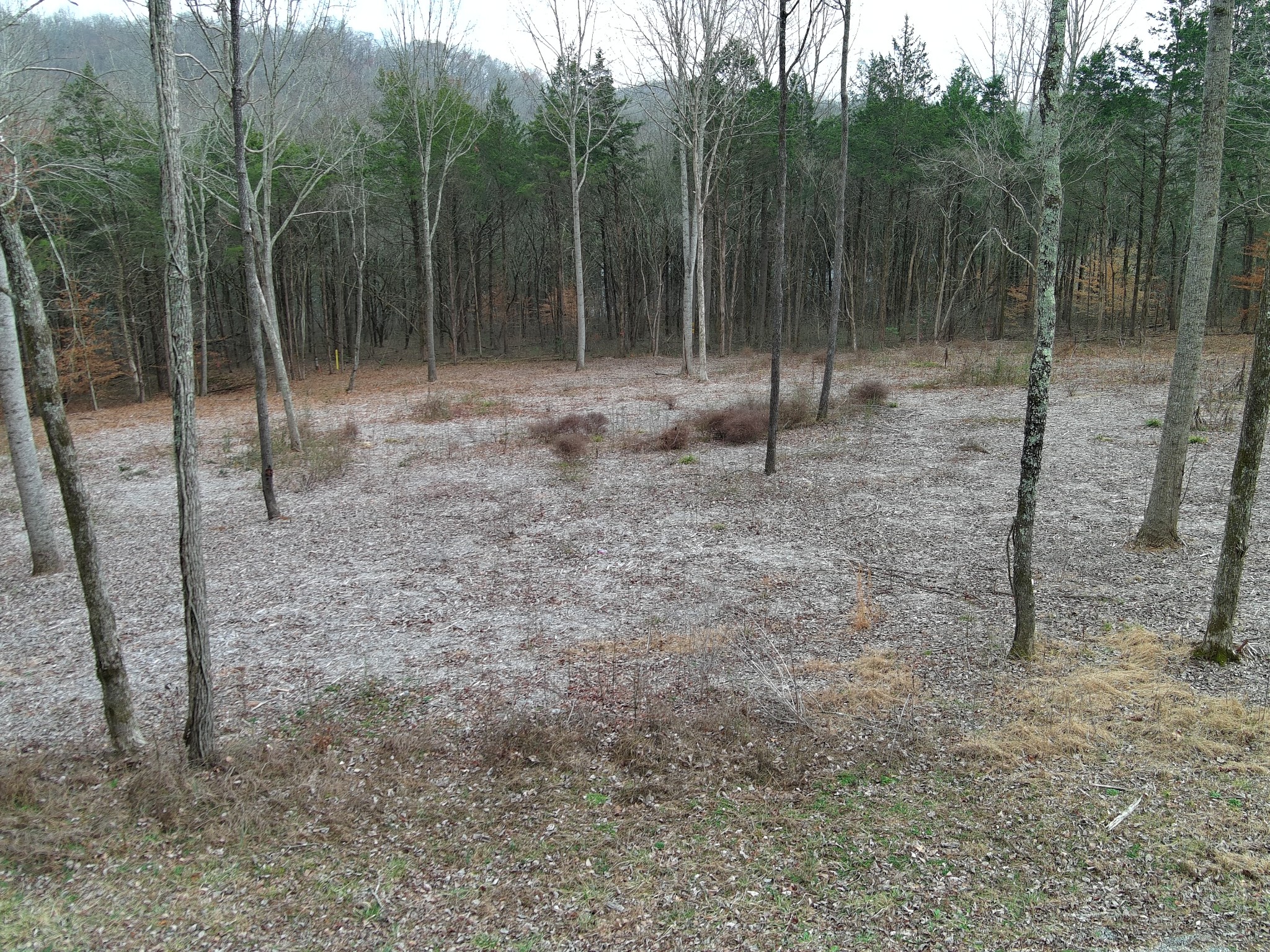 0 Bedford Lake Road Shelbyville TN 37160