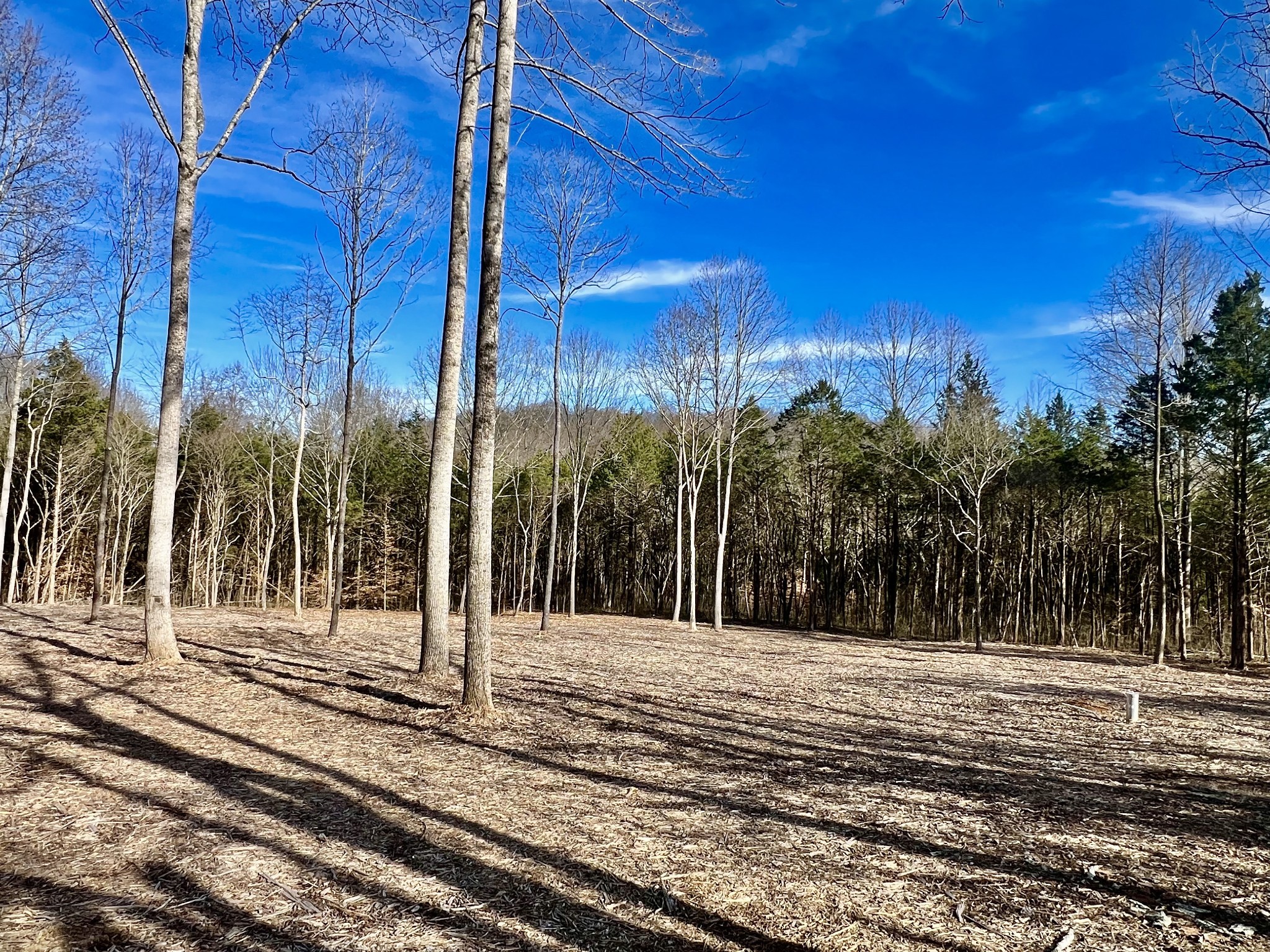0 Bedford Lake Road Shelbyville TN 37160