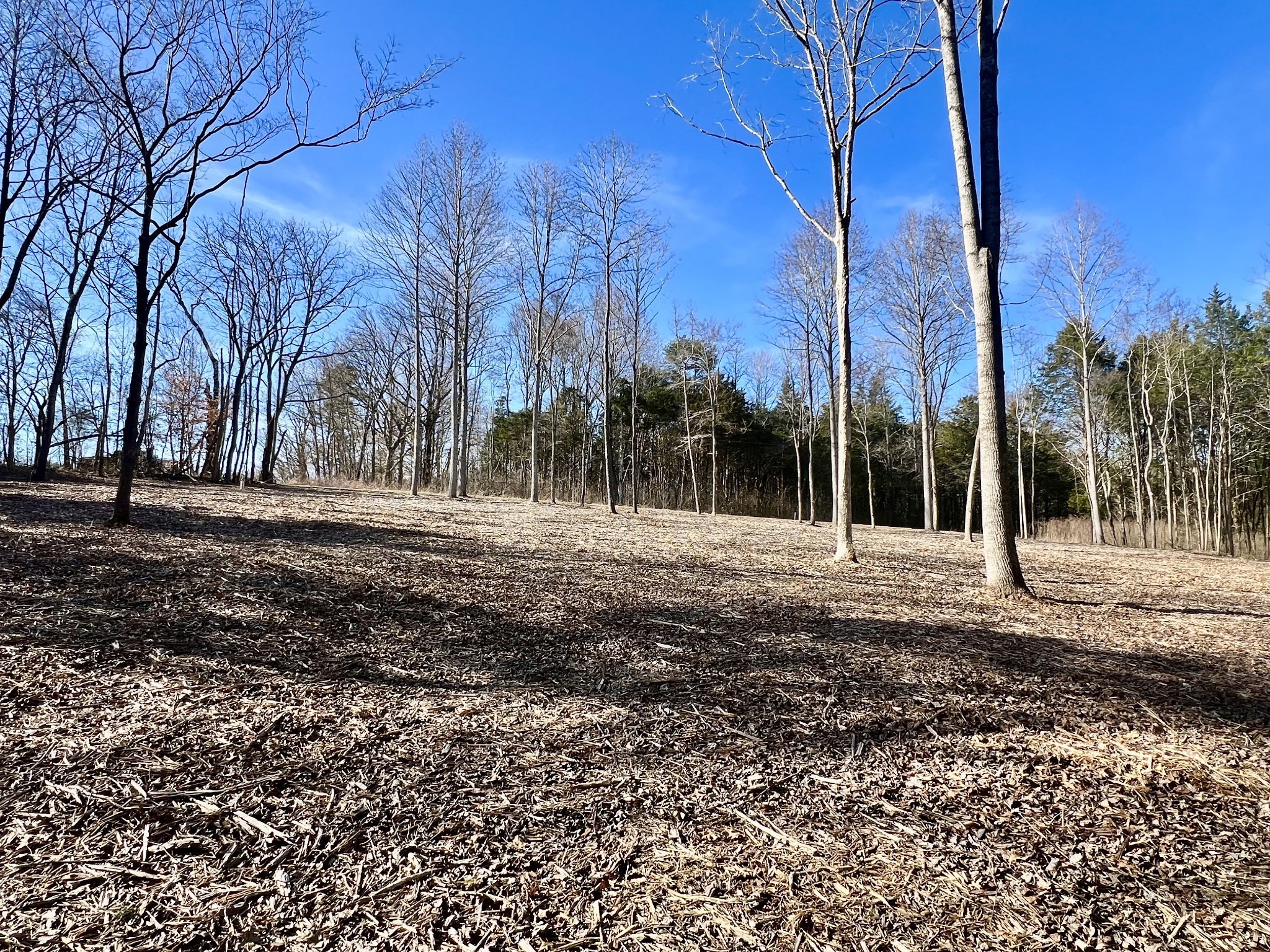 0 Bedford Lake Road Shelbyville TN 37160