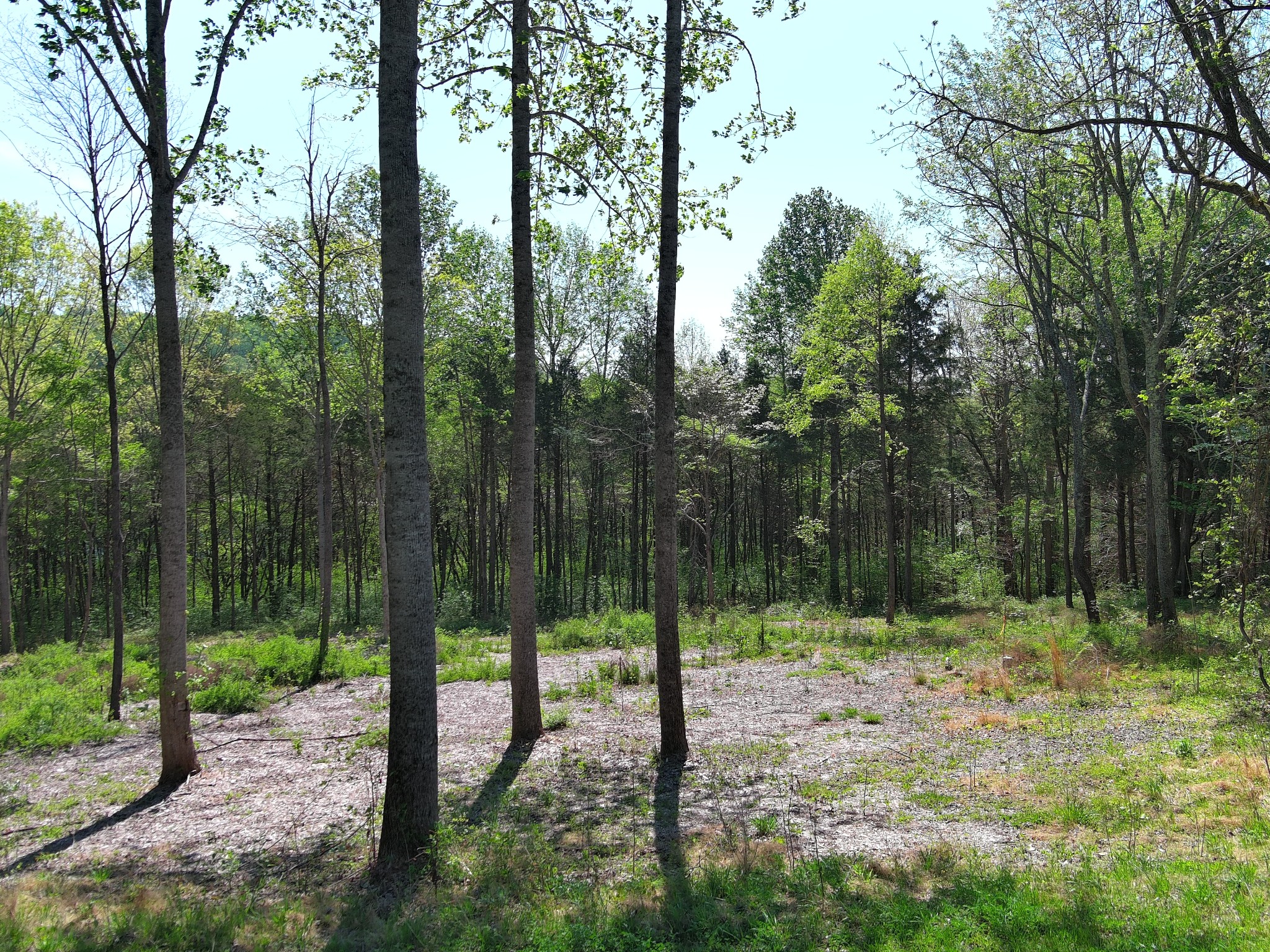 0 Bedford Lake Road Shelbyville TN 37160