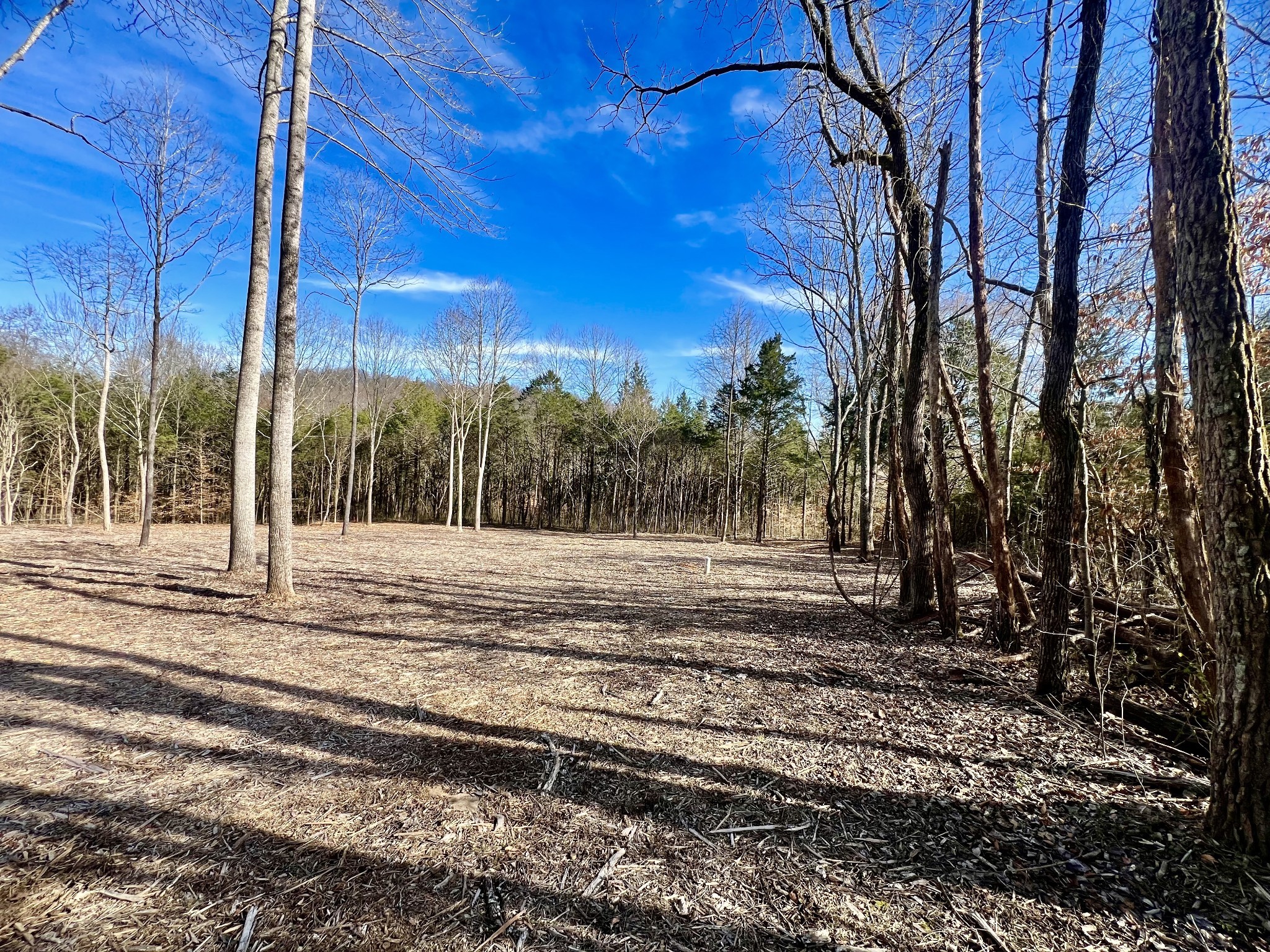 0 Bedford Lake Road Shelbyville TN 37160