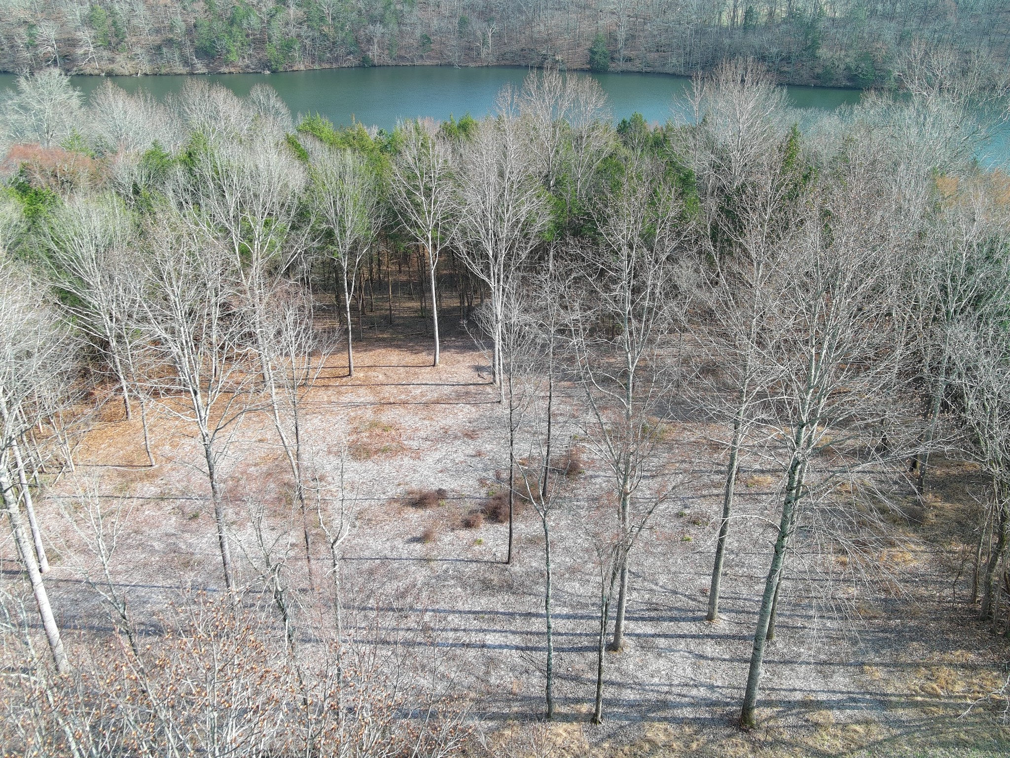 0 Bedford Lake Road Shelbyville TN 37160