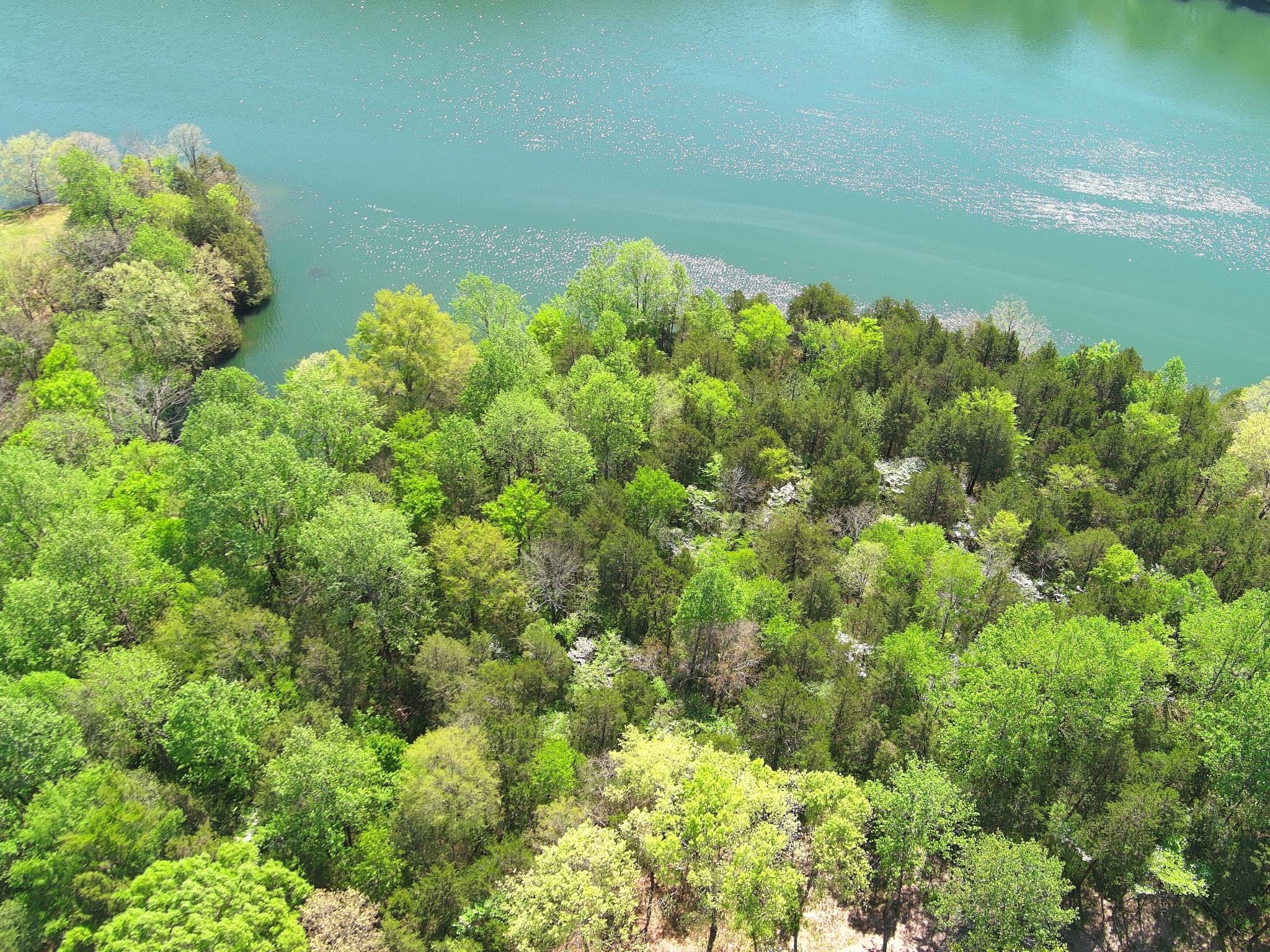 0 Bedford Lake Road Shelbyville TN 37160