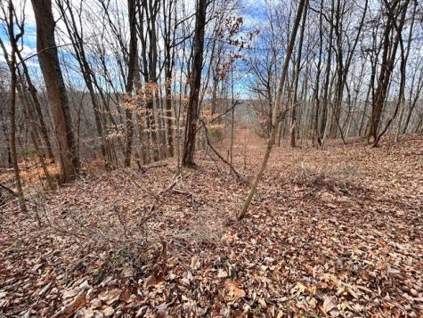 61 Old Hickory Place Smithville TN 37166