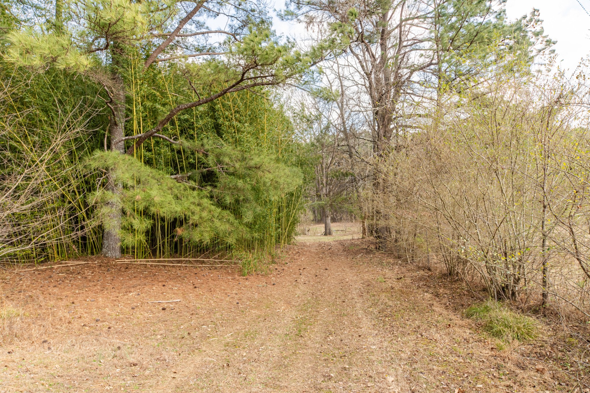 489 Old Jackson Highway Loretto TN 38469