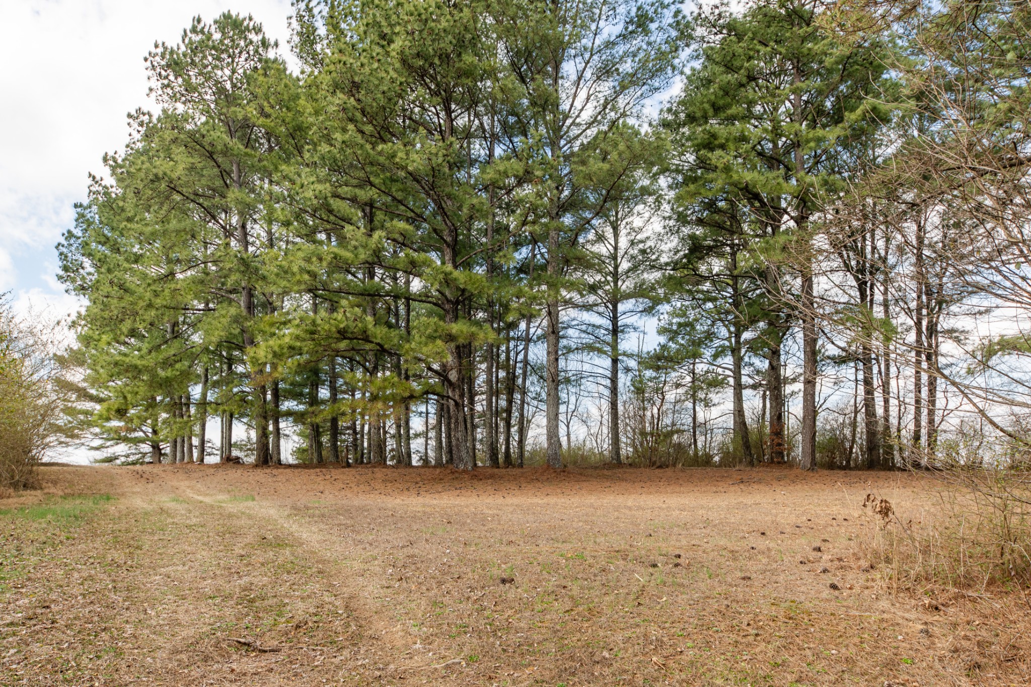 489 Old Jackson Highway Loretto TN 38469