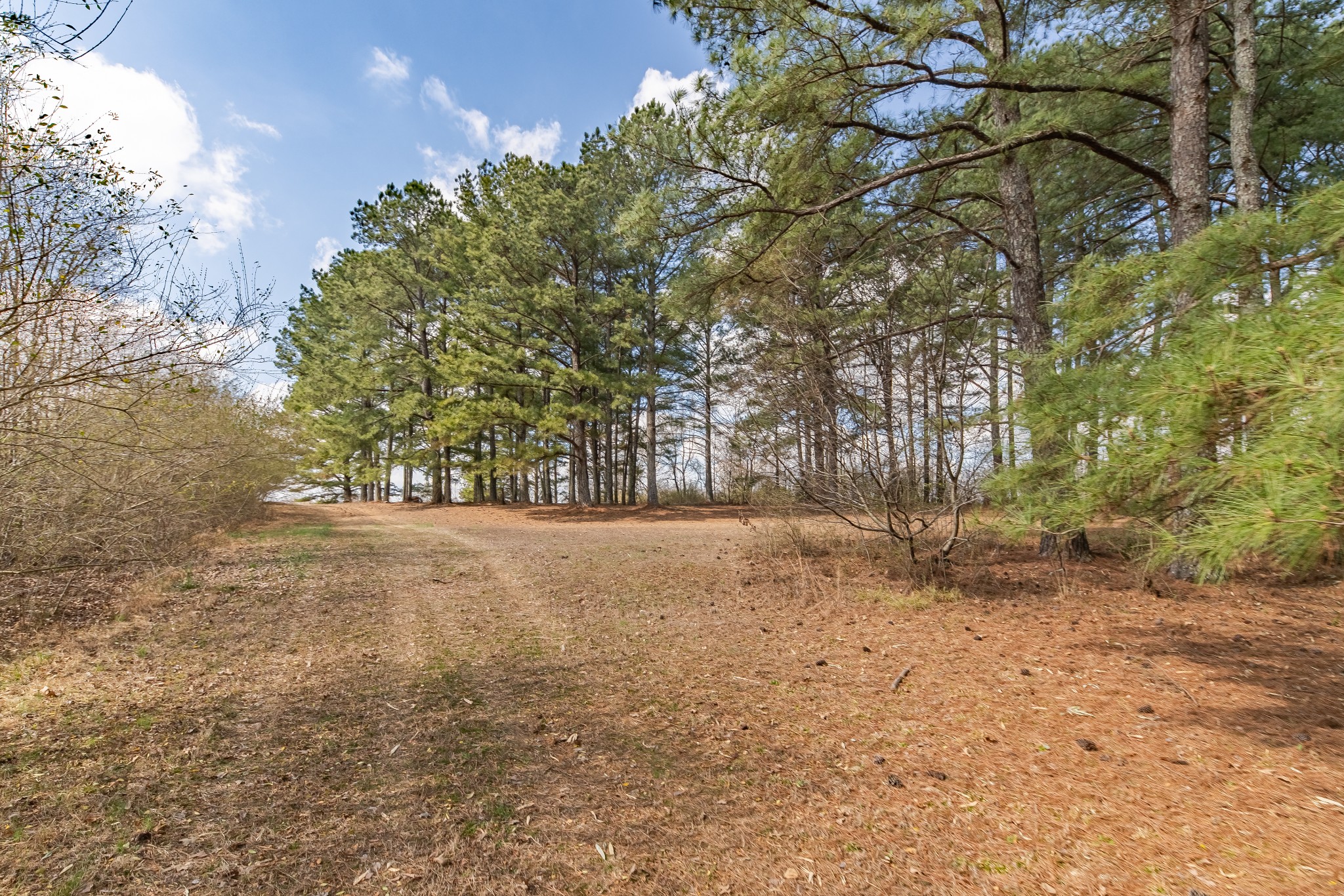 489 Old Jackson Highway Loretto TN 38469