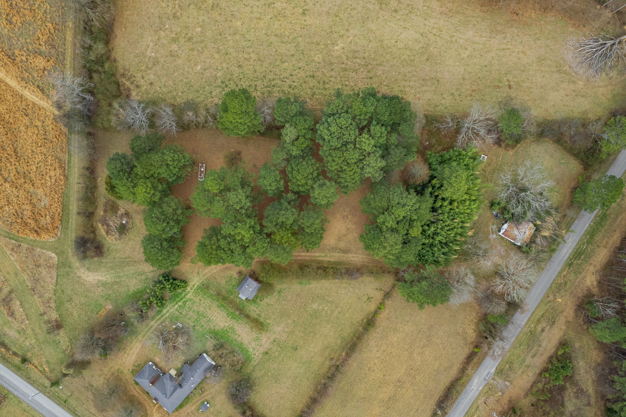 489 Old Jackson Highway Loretto TN 38469