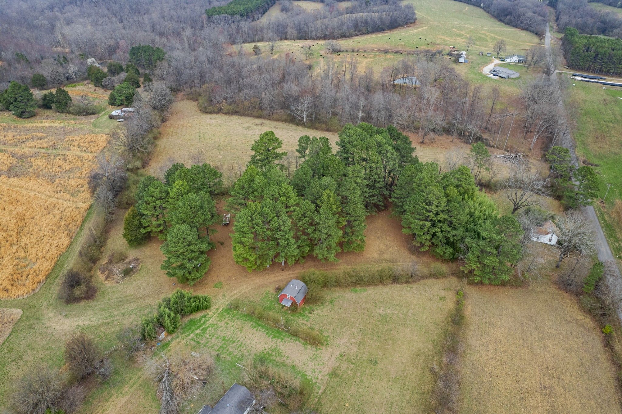 489 Old Jackson Highway Loretto TN 38469