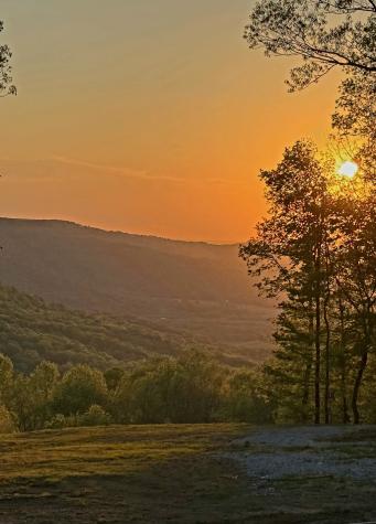 303 N Lake Drive Altamont TN 37301