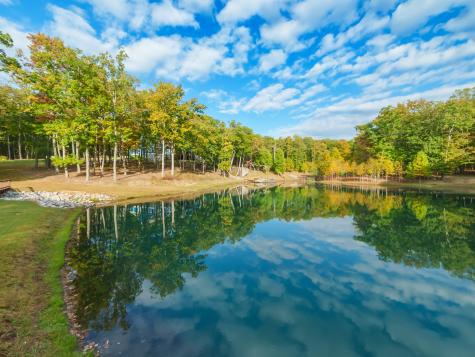 303 N Lake Drive Altamont TN 37301