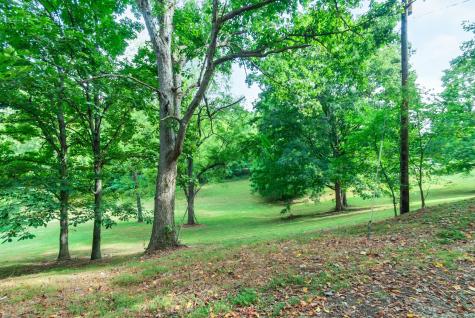4074 Cantebury Drive Culleoka TN 38451