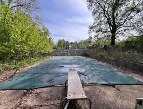 80 Poplar Knolls Lane Mc Kenzie TN 38201