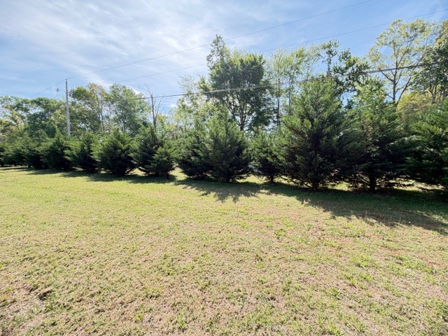 118 Herrin Road Morrison TN 37357
