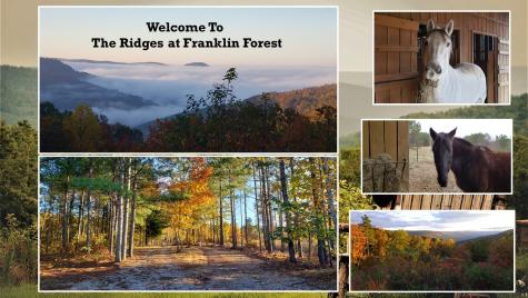 0 Thunder Ridge Drive South Pittsburg TN 37380