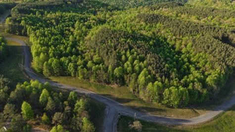 0 Thunder Ridge Drive South Pittsburg TN 37380