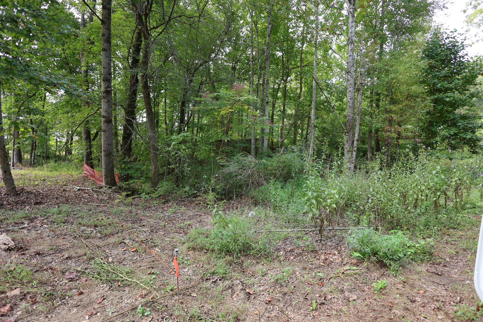245 Woolf Pass Lane Sparta TN 38583