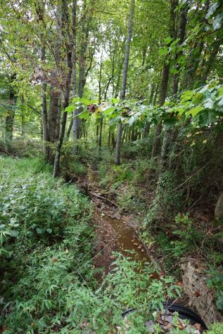 245 Woolf Pass Lane Sparta TN 38583