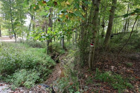 245 Woolf Pass Lane Sparta TN 38583