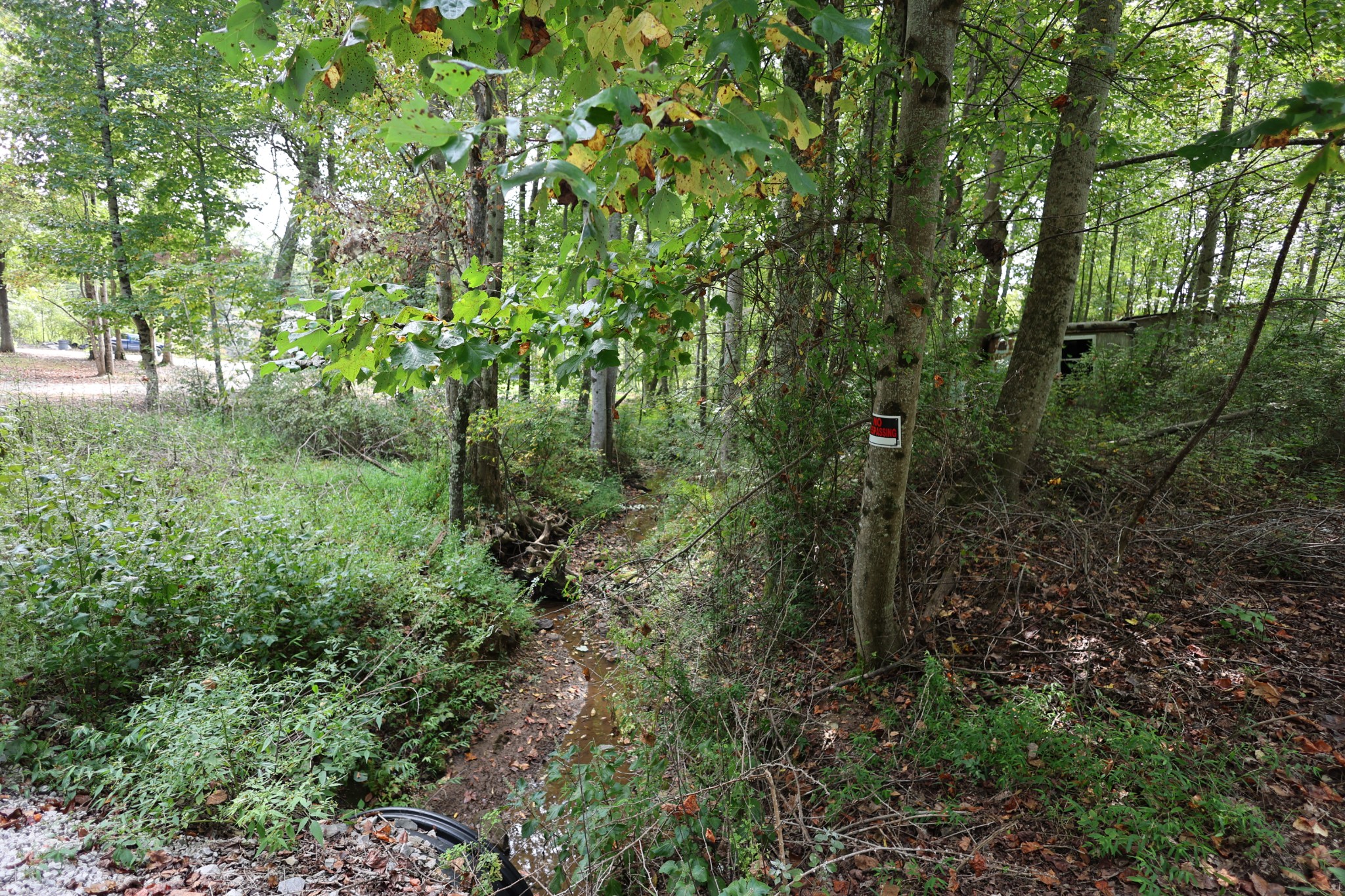 245 Woolf Pass Lane Sparta TN 38583